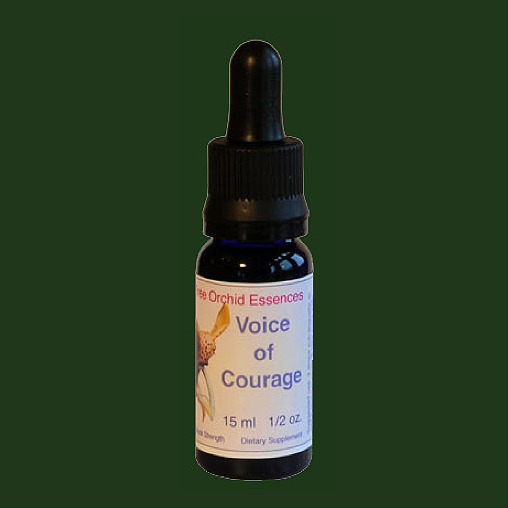 Voice of Courage